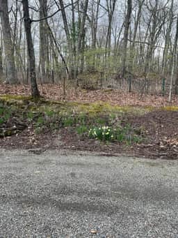 Sacred Dream Entire Property-Hot Tub Copake Lake - Image 2